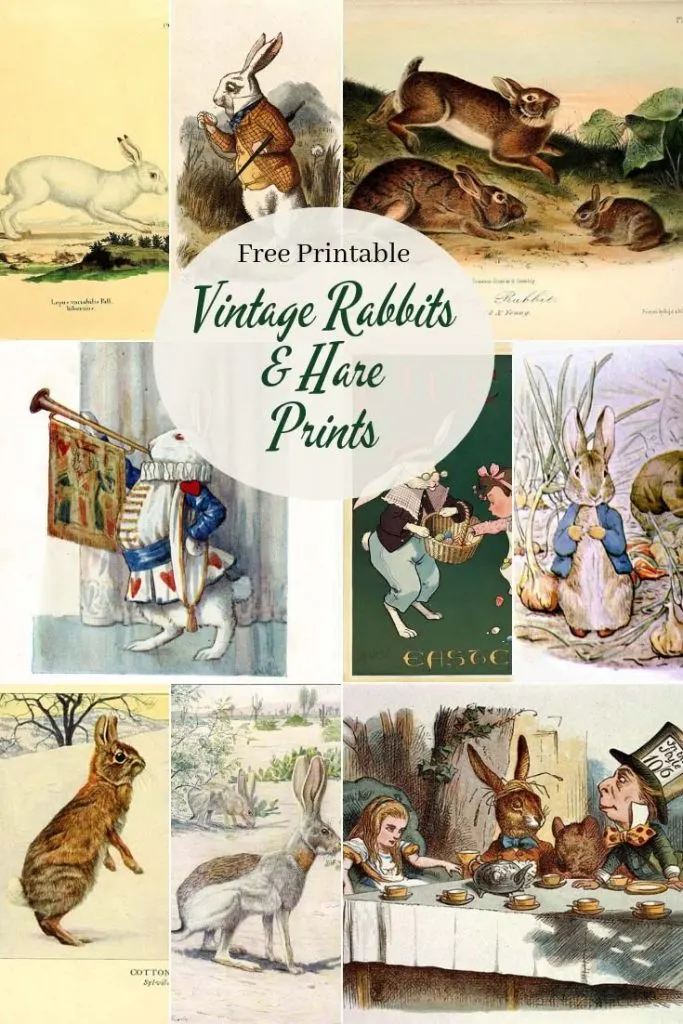 Antique and Collectible Rabbits