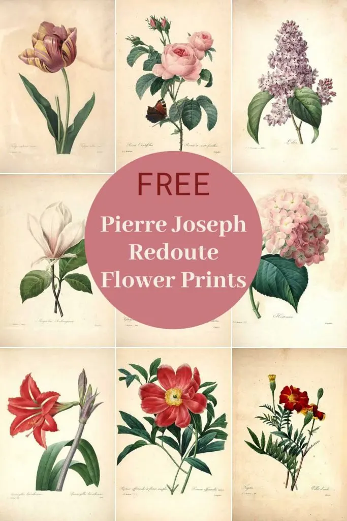 P&J Commercial Fragrance Oil, Set Of 6 Spring Flowers