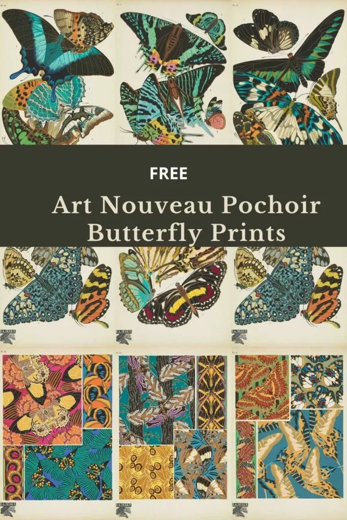 15 Vintage Butterfly Prints and Illustrations: A Free Treasure Trove for Art  Lovers - Picture Box Blue