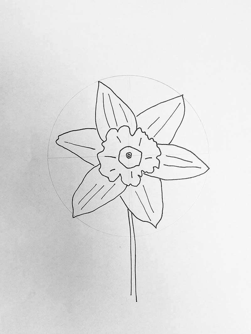 Daffodil flower outline isolated on white background. Hand drawn line  vector illustration. 7946128 Vector Art at Vecteezy