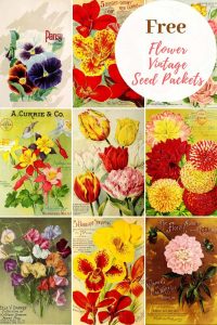 How To Craft With Free Vintage Seed Packets Art - Picture Box Blue