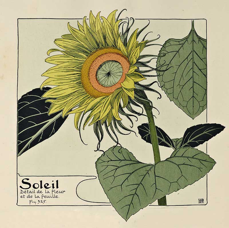 Verneuil Soleil Sunflower art nouveau illustration