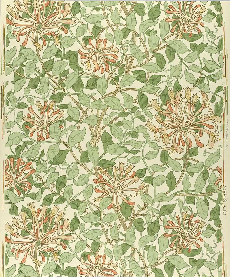 Honeysuckle wScattered honeysuckle flowers, with narrow wispy petals, and foliage.allpaper Morris & Co