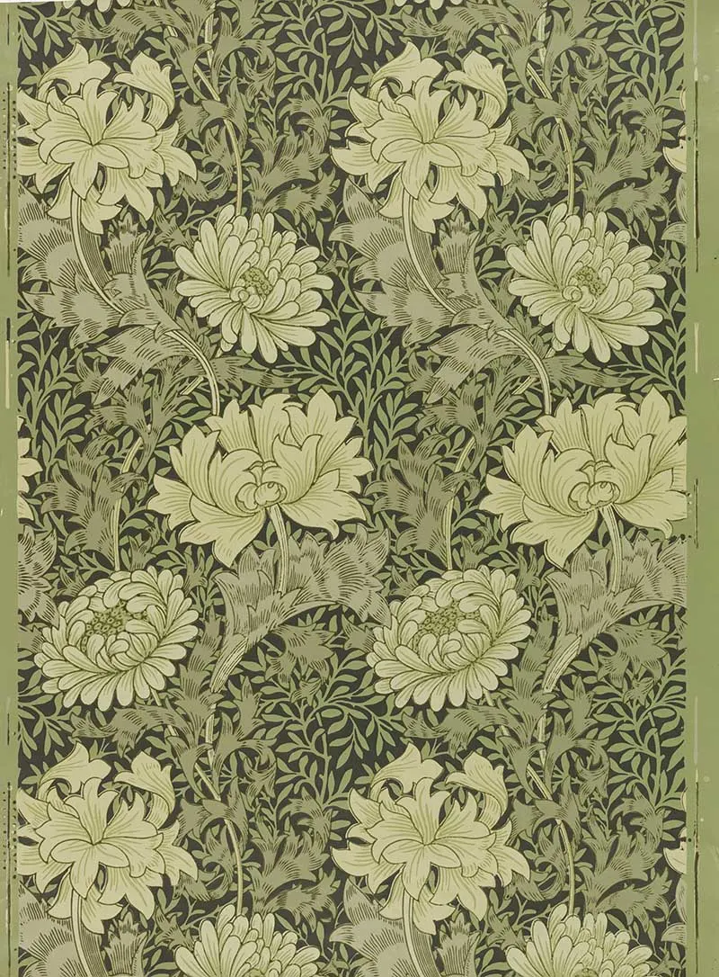 Sidewall Chrysanthemum wallpaper William Morris in Green