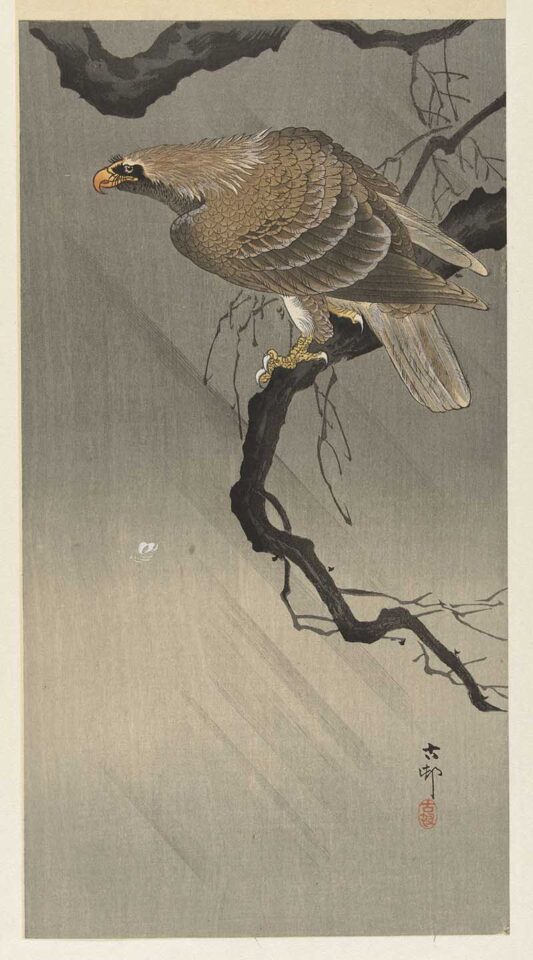 Ohara Koson Birds in Full Splendor: Download Gorgeous Free Prints Today ...