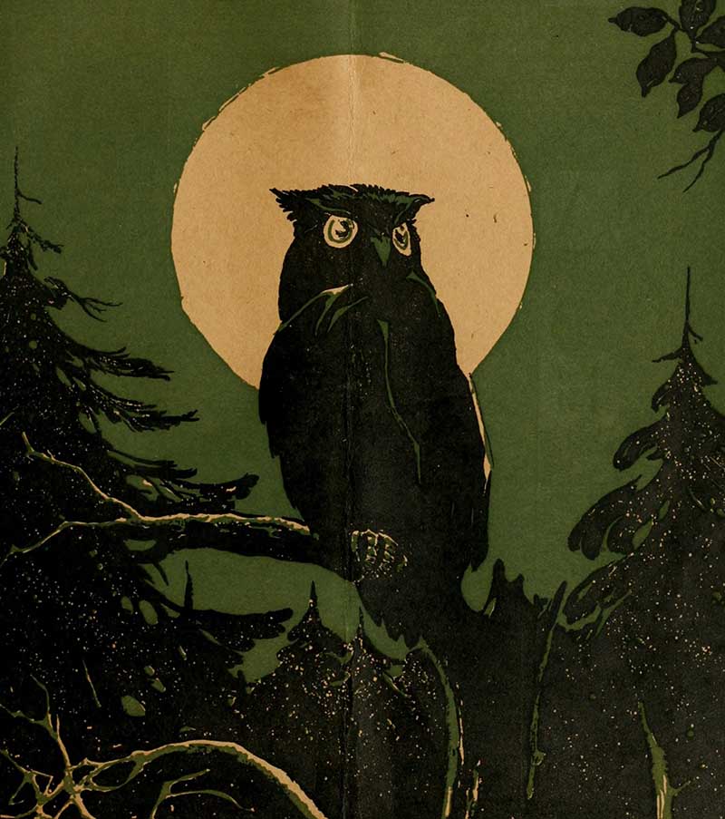 Owl In Moonlight