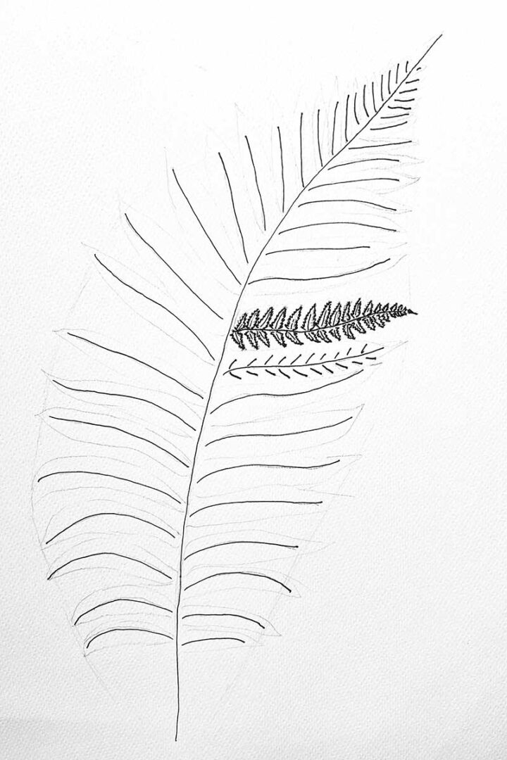 How to Draw a Fern and Create Your Botanical Garden Art - Picture Box Blue