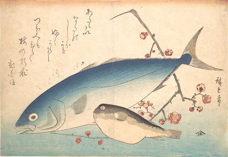 Fugu and Inada Fish Hiroshige