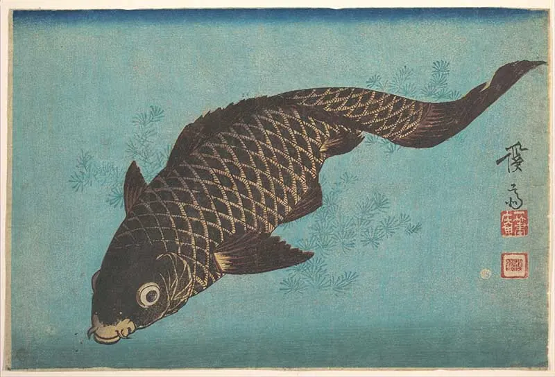 Koi fish woodblock pint by Keisai Eisen