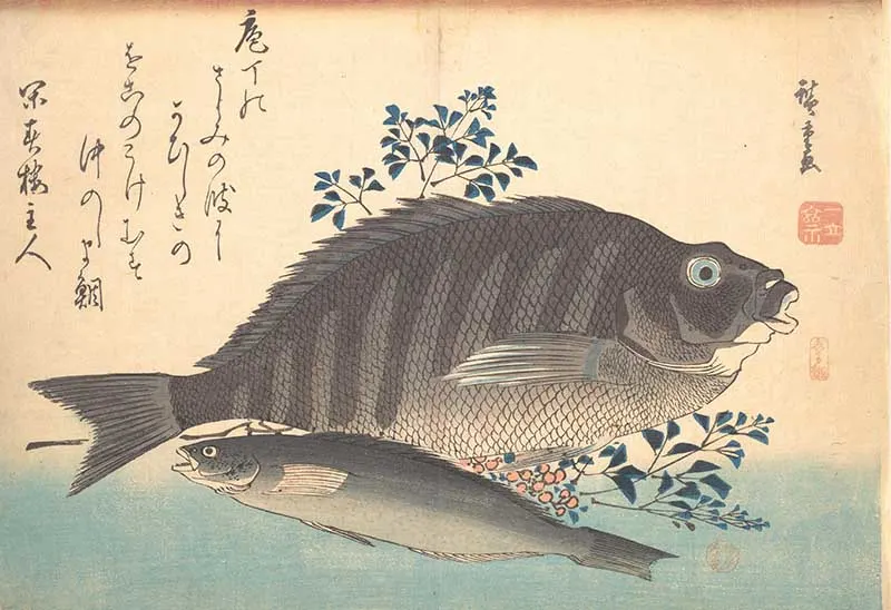 Shimadai and Ainame Fish Hiroshige woodblock print