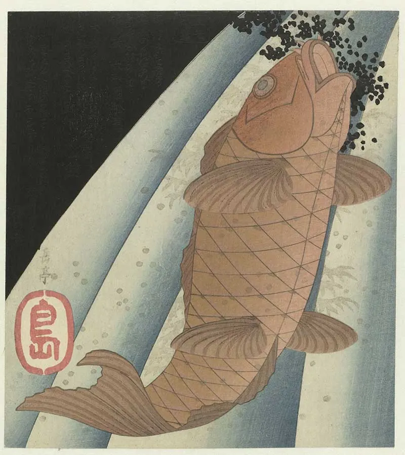 Carp swimminup waterfall Yashima Gakutei