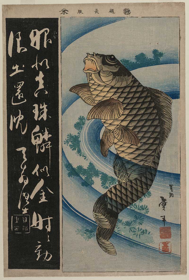 Katsushika Taito II - Carp and Waterweeds Woodblock fish print