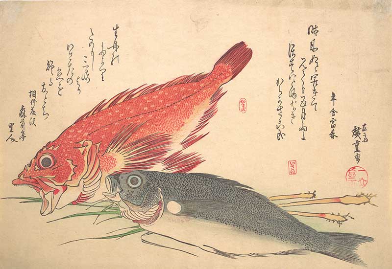 red blue fish Japanese woodblock print