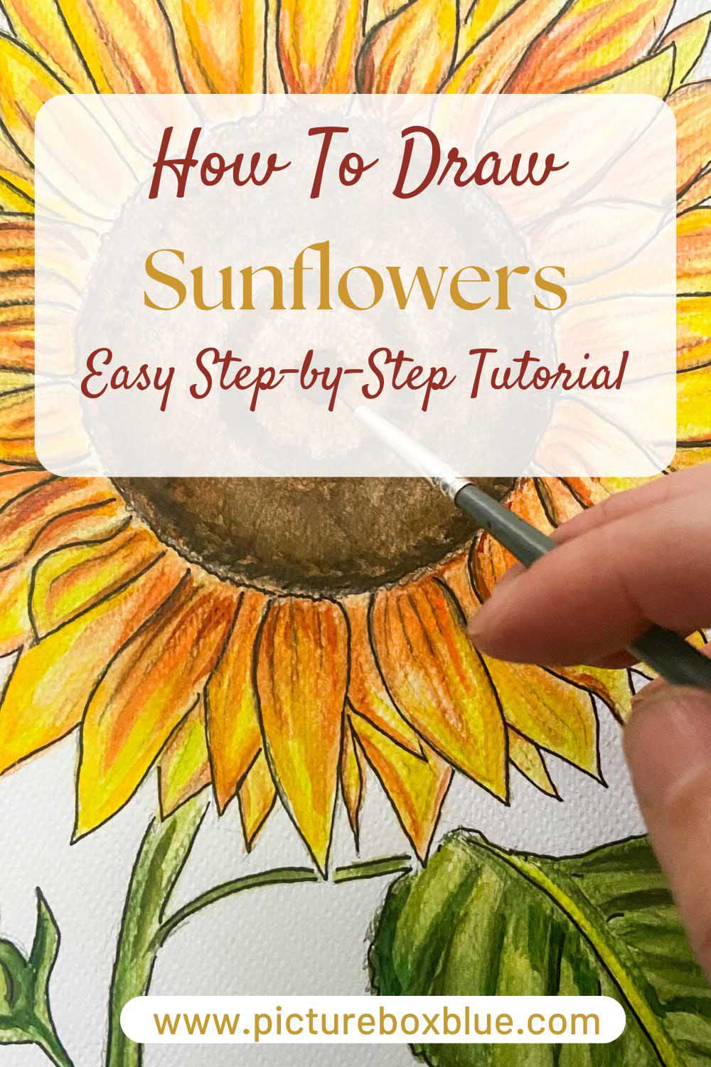 hand drawing a sunflower with text overlay