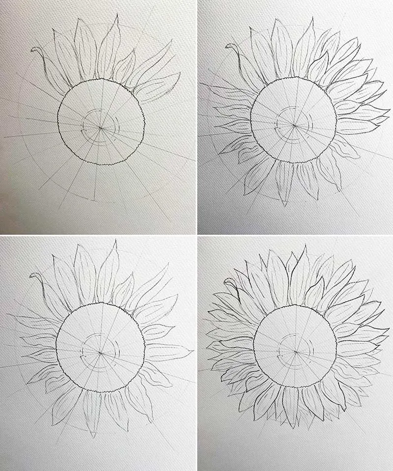 drawing sunflower petals around the center circle in four stages