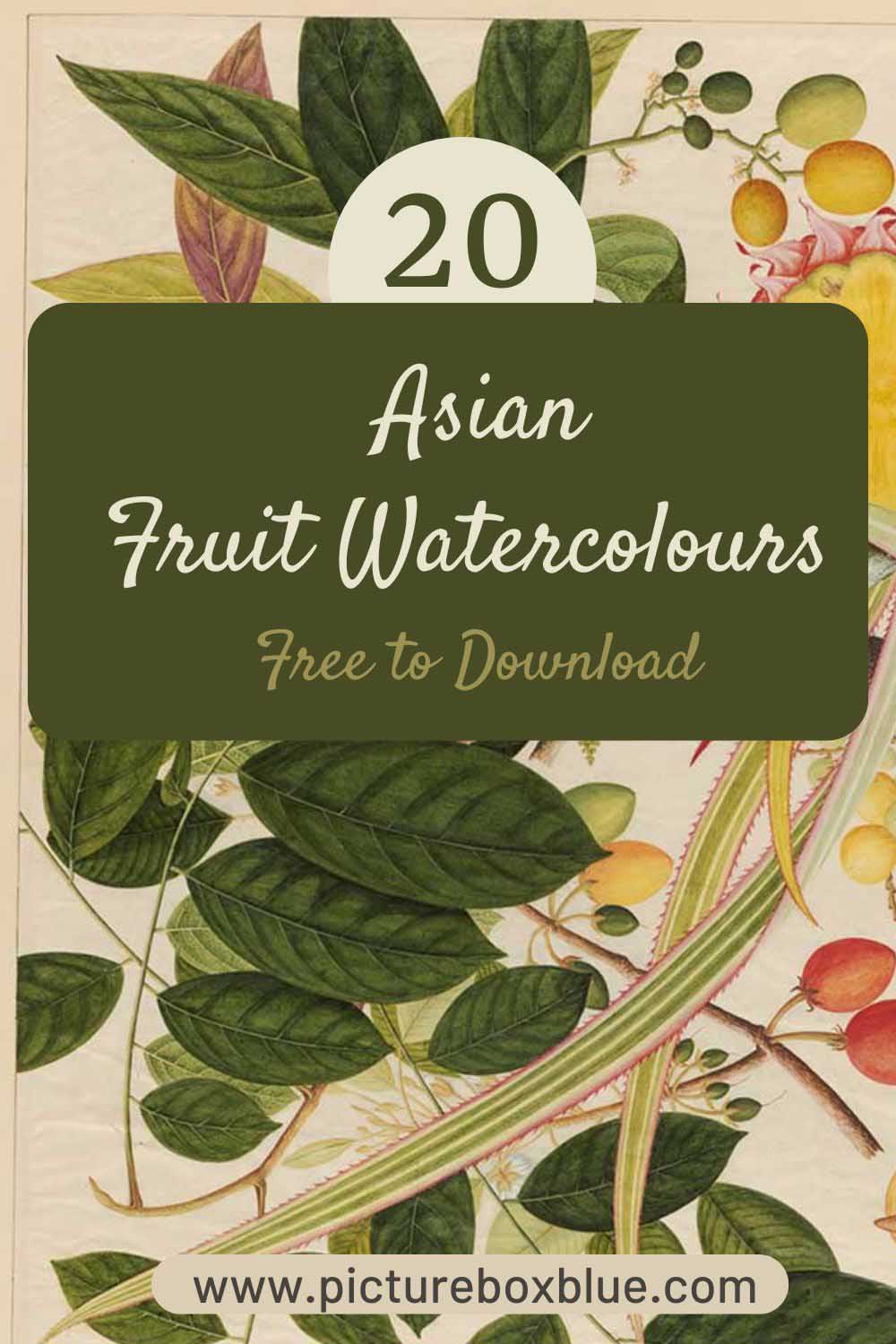 asian watercolour fruits with text overlay pinterest pin