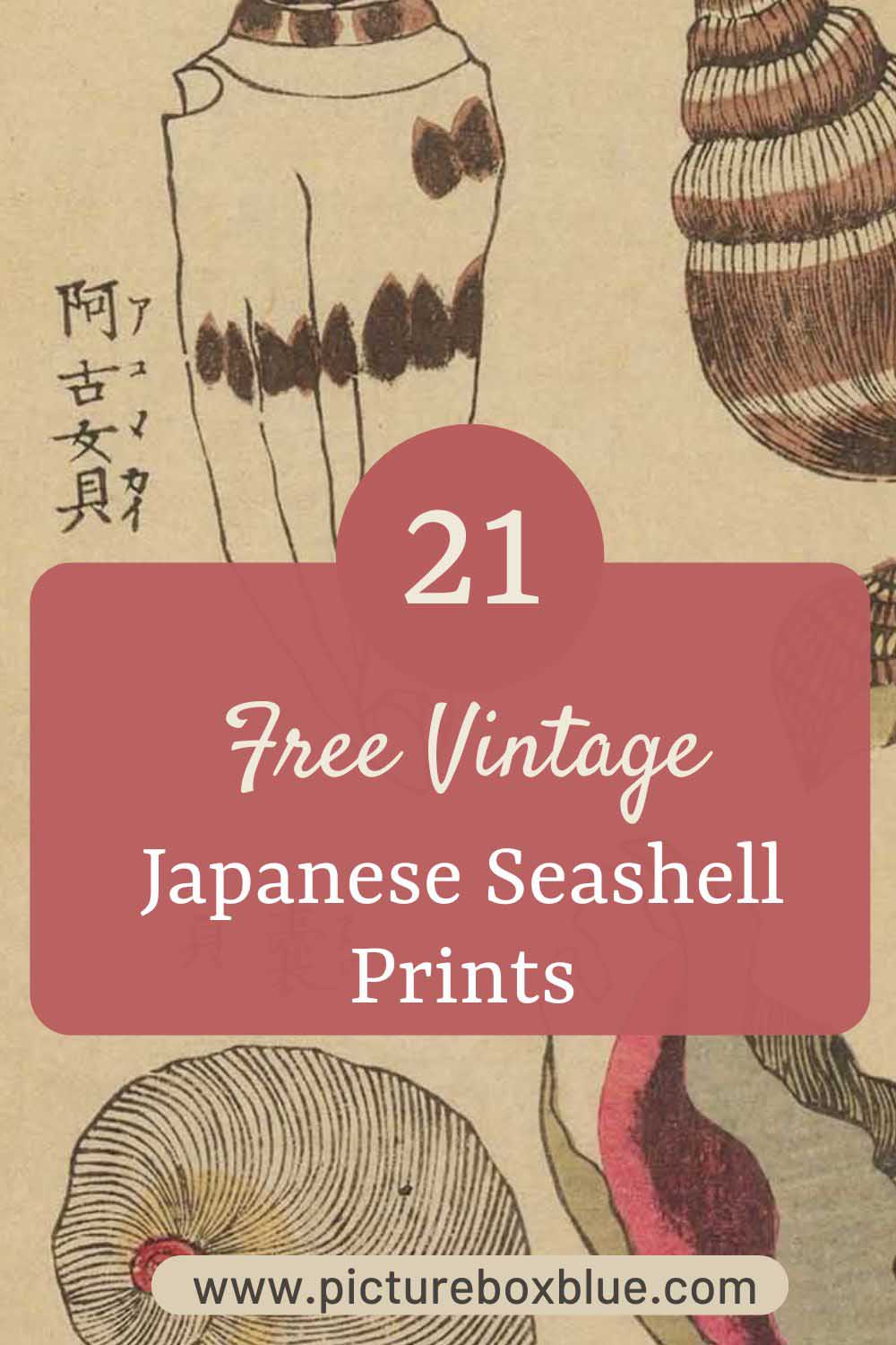 vintage japanese seashell woodblock with text overlay