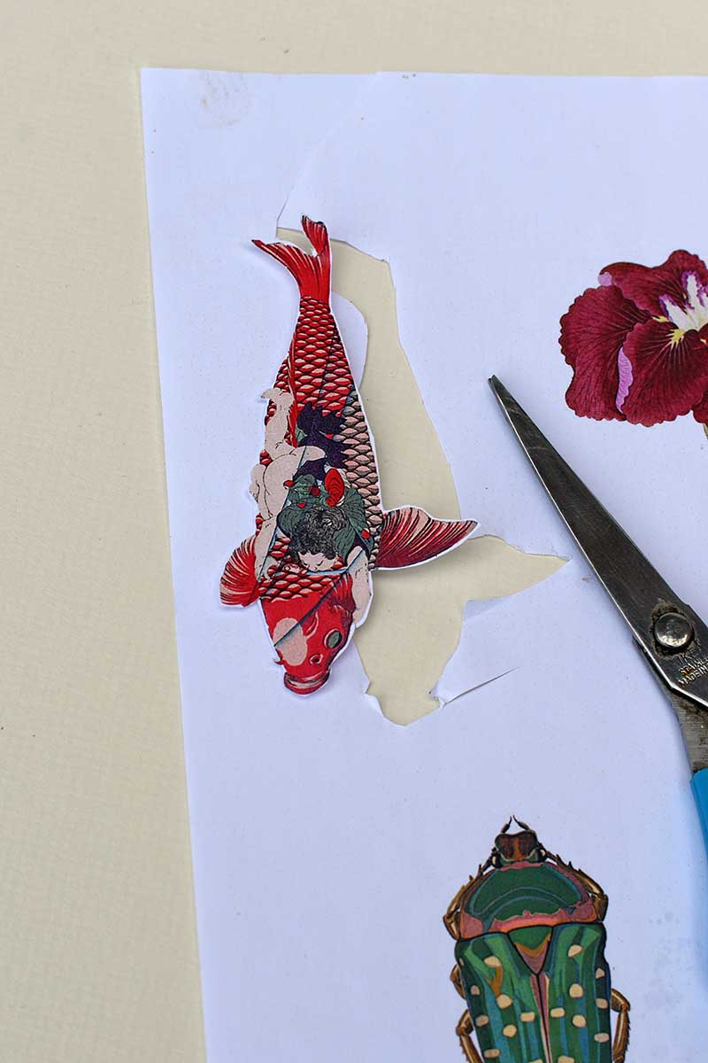 cutting out a fish clip art image from a sheet of images