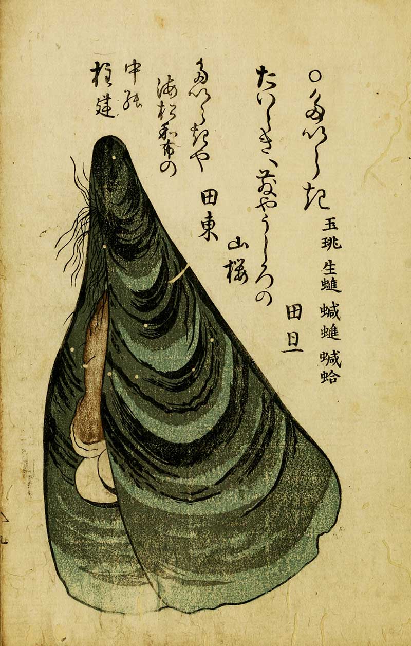 woodblock seashell print of green mussel with Japanese text