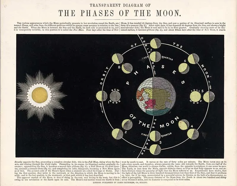 earth surrounded by diagrams of the moon showing various phases and a sun plus text descriptions