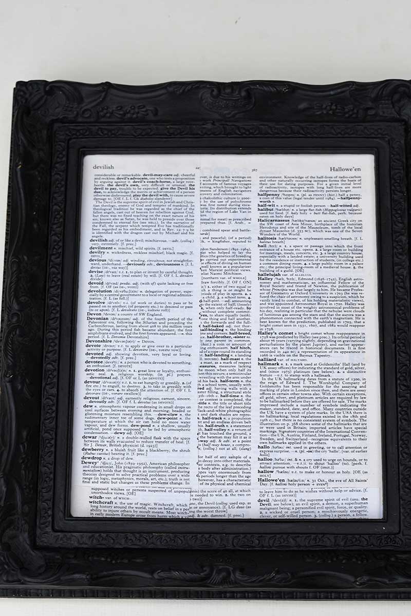 dictionary picture frame for DIY halloween shadow box