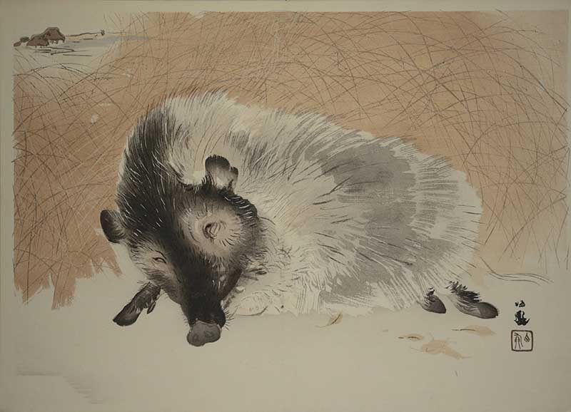 Year of the boar Japanese zodiac animal painting