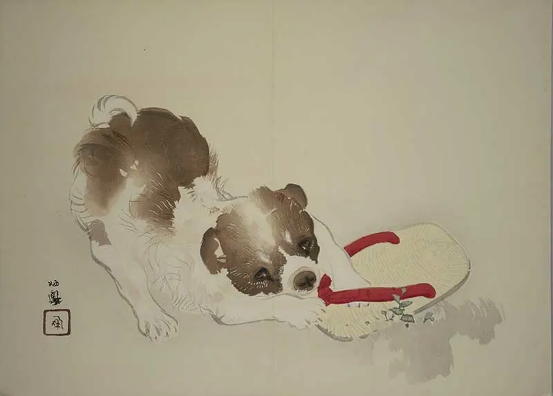 dog playing with shoe Japanese Zodiac sign