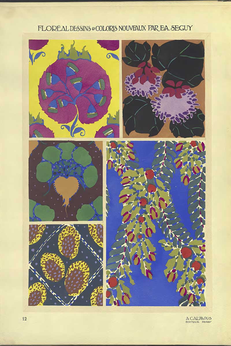 Plate 12 of Floreal Dessins by EA Séguy abstract flower patterns art Nouveau style