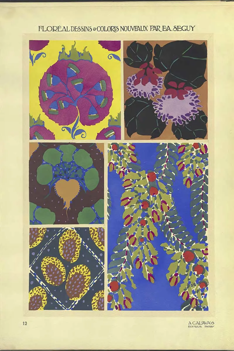 Plate 12 of Floreal Dessins by EA Séguy abstract flower patterns art Nouveau style