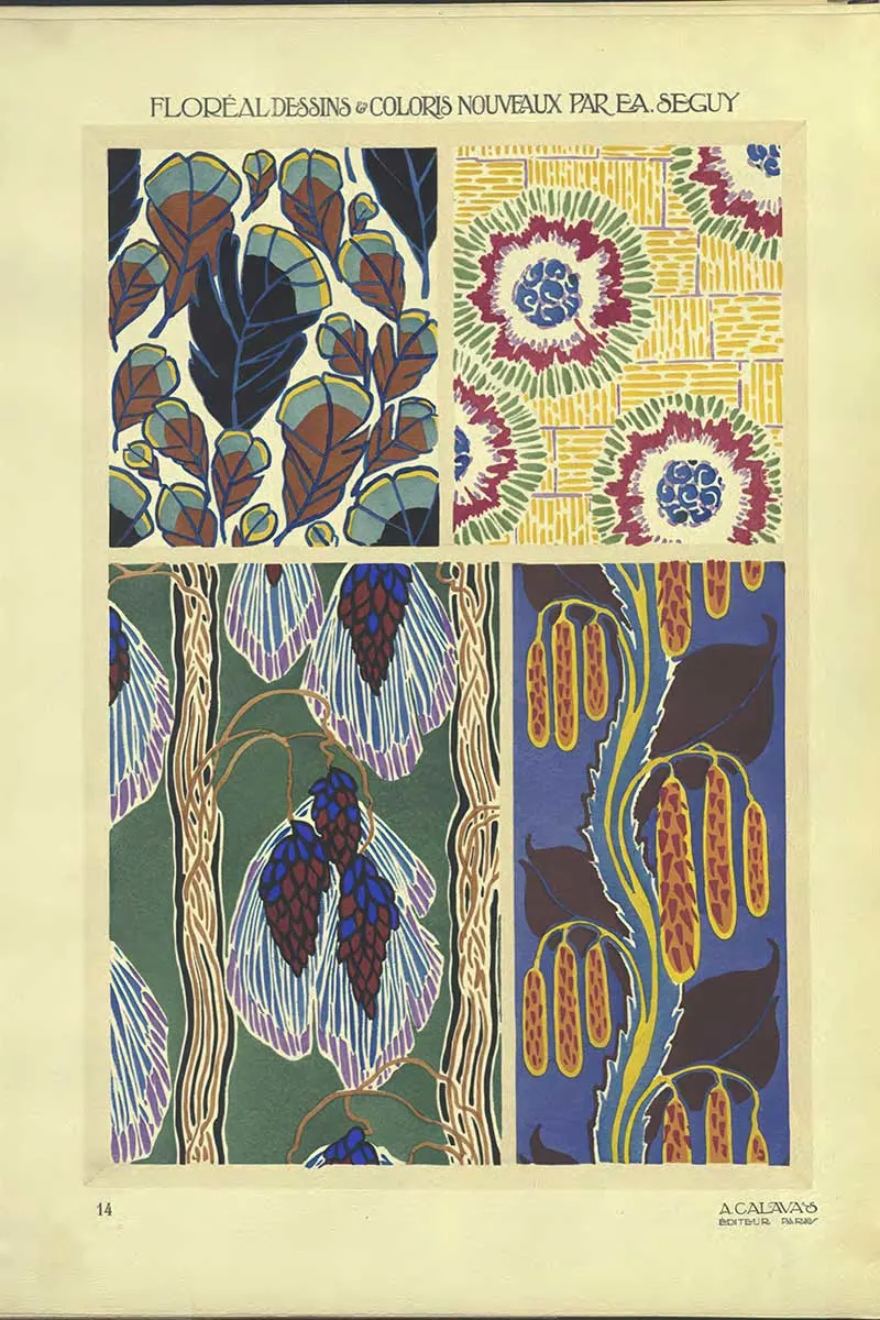 Plate 14 of Floreal Dessins by EA Séguy abstract flower patterns art Nouveau style