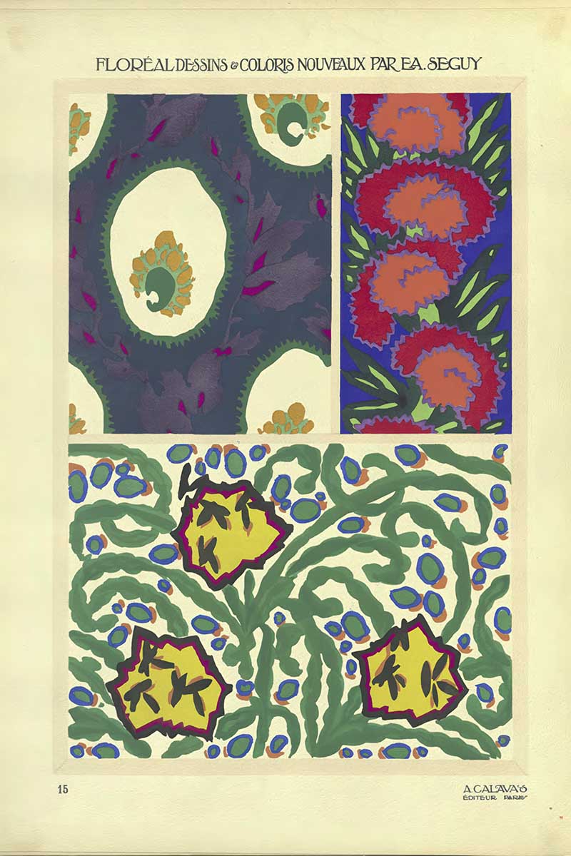 Plate 15 of Floreal Dessins by EA Séguy abstract flower patterns art Nouveau style