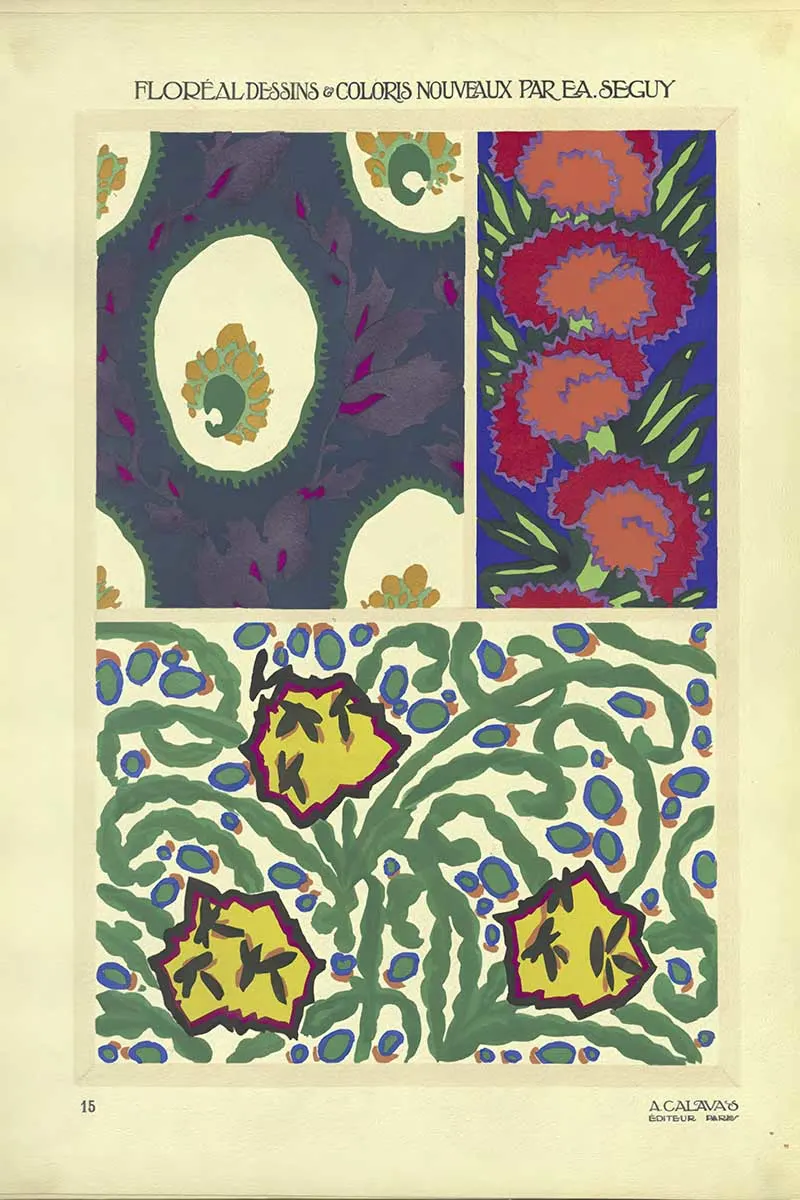 Plate 15 of Floreal Dessins by EA Séguy abstract flower patterns art Nouveau style