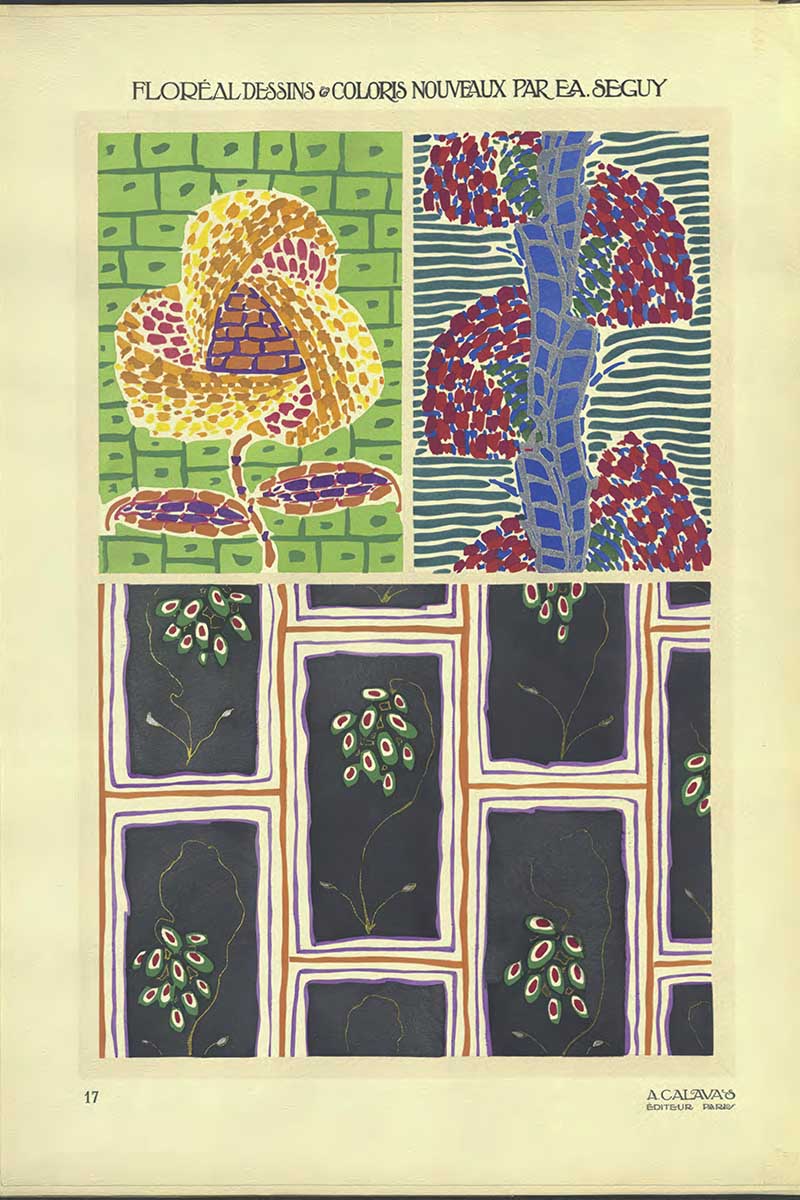 Plate 17 of Floreal Dessins by EA Séguy abstract flower patterns art Nouveau style