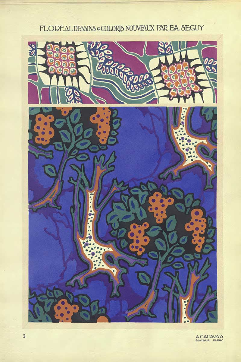 Plate 2 of Floreal Dessins by EA Séguy abstract flower patterns art Nouveau style